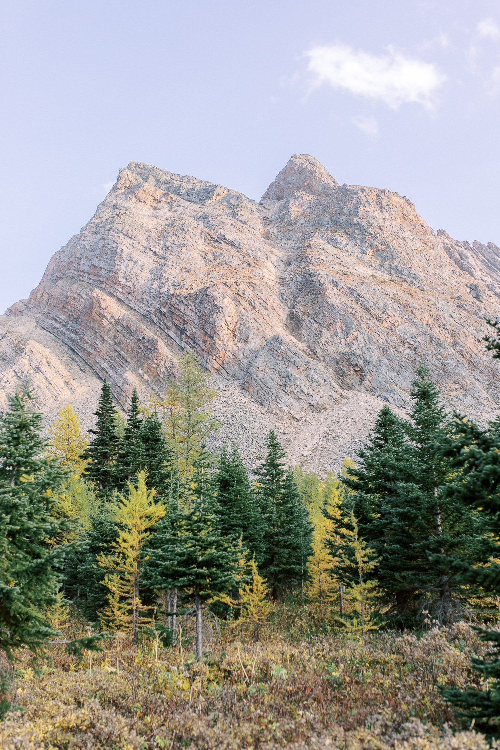 Kevin and Naomis Banff Engagement session Heidrich 